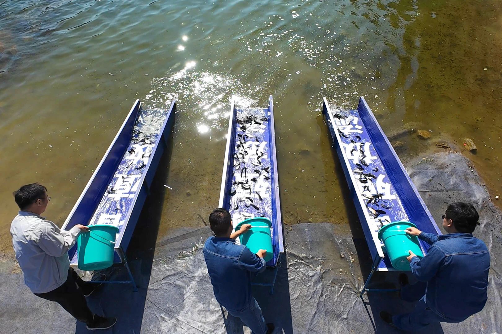 金沙(8087-js认证)娱场城-Officialwebsite