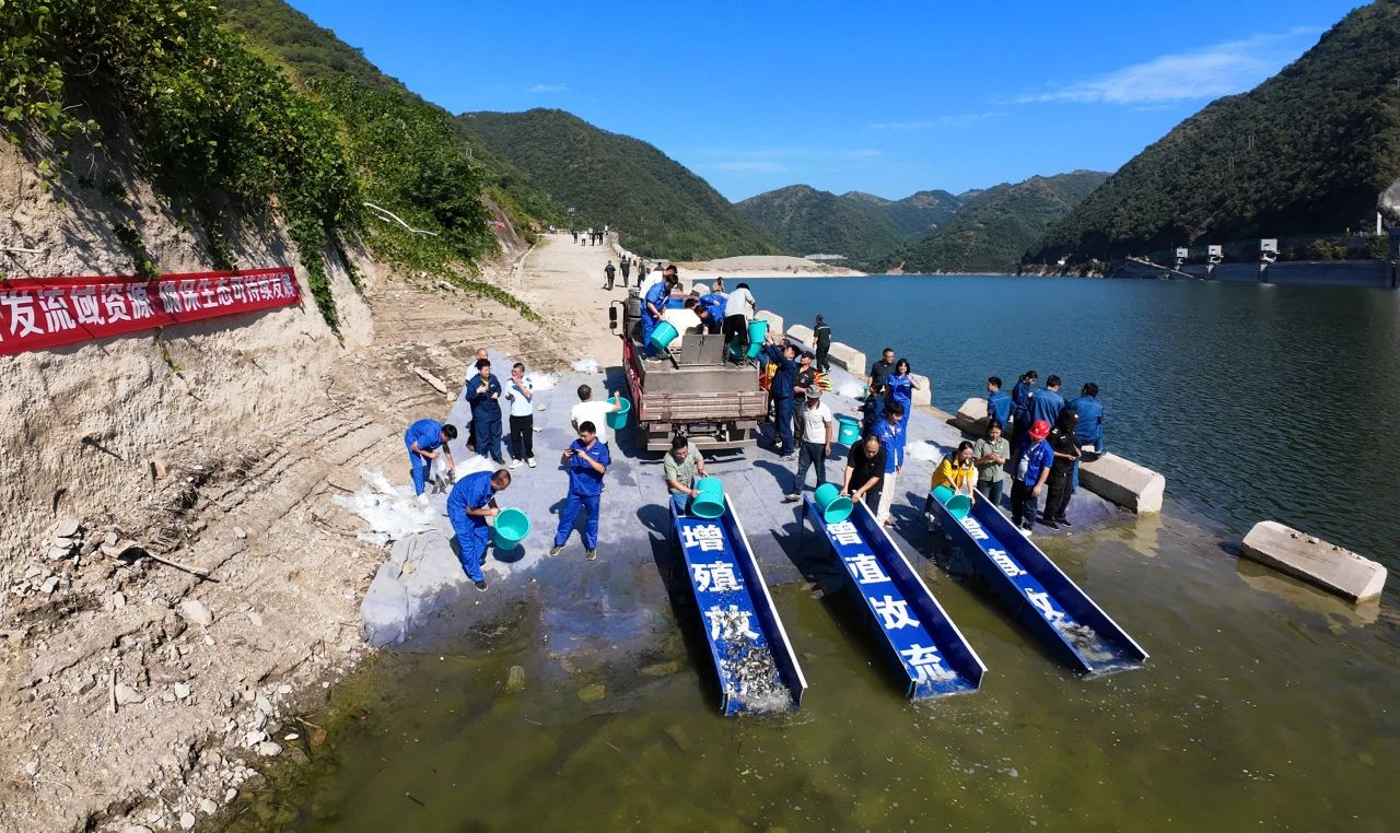 金沙(8087-js认证)娱场城-Officialwebsite